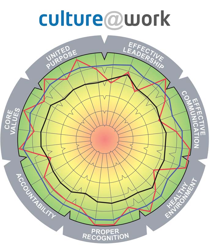 This diagnostic evaluates the Organizational Culture and its influence on employee engagement.